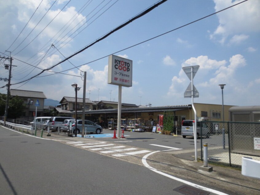 コープ長岡(スーパー)まで220m ピンクフィ－ルド