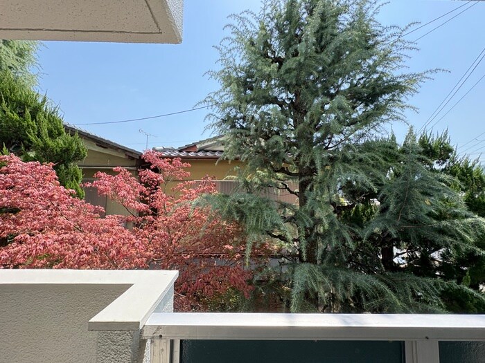 室内からの展望 コーポ山内