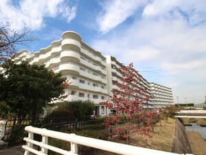 ディオ・フェルティ枚方(724)