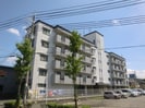 岩崎ハイツの外観