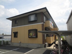 ﾊｲｶﾑｰﾙ浜
