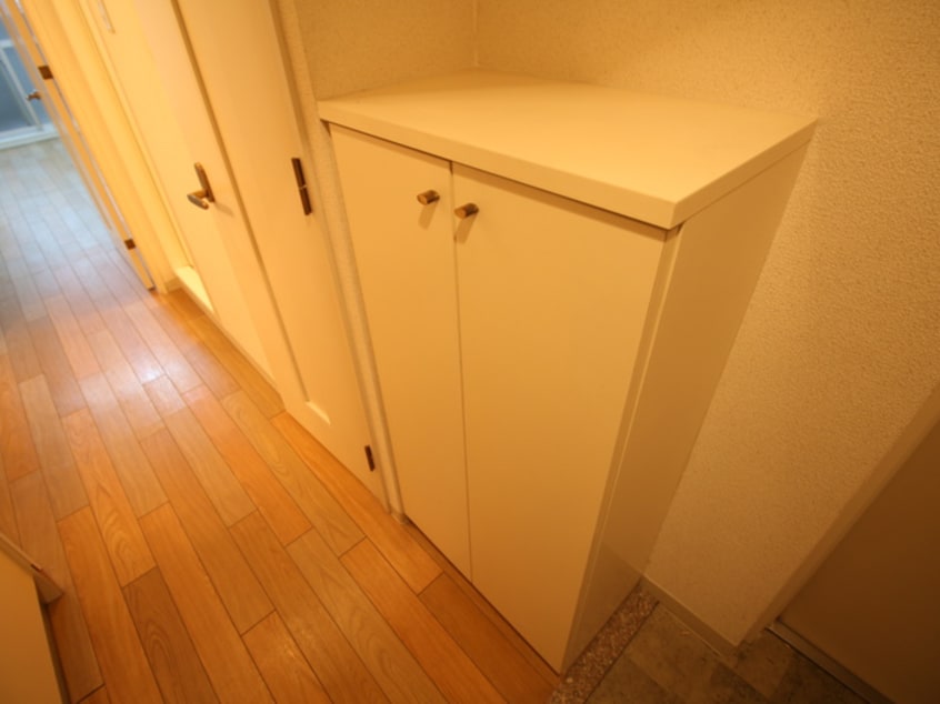 靴箱 ファビュロウスサンコ－