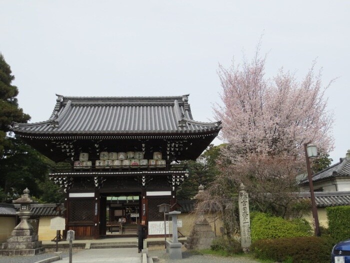 周辺環境 プラム四条