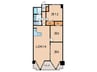 パラッシオ岡本（505） 3LDKの間取り