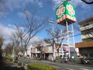 ライフ男山店(スーパー)まで388m 日晴ハイツＢ棟