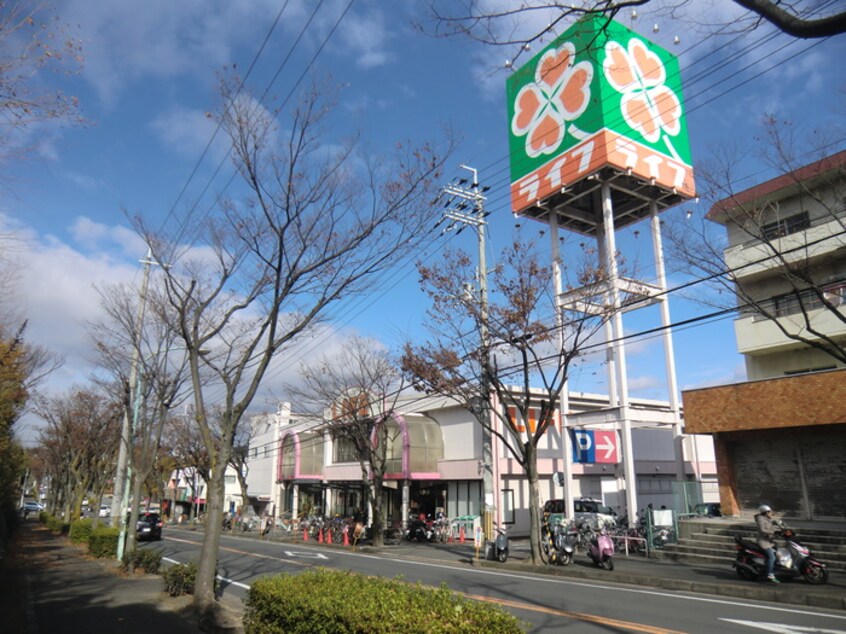 ライフ男山店(スーパー)まで388m 日晴ハイツＢ棟