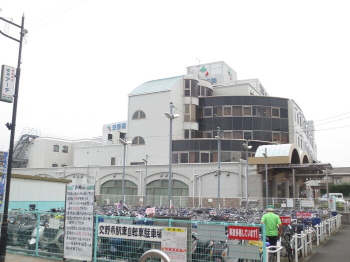 交野病院(病院)まで1110m 茄子作東町一戸建貸家