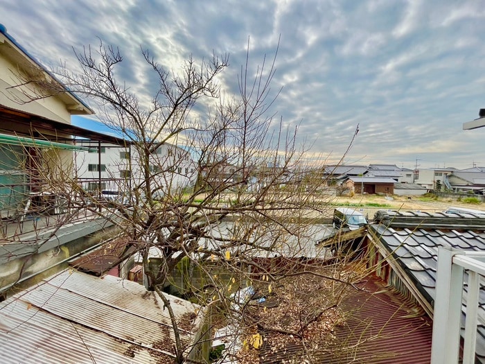 室内からの展望 メゾンウエダ