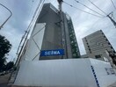 建築中 Ｅａｓｔｅｒｎ　Ｗｅｌｌｓ