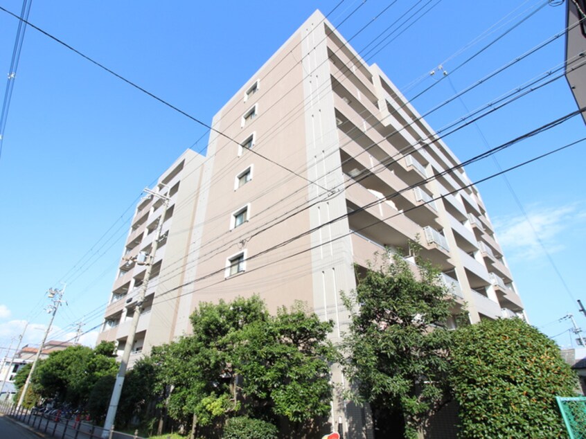 その他 エレガンス巽