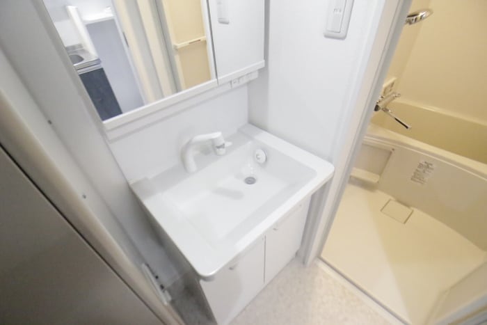 洗面 エヌエムスワサントアン