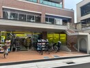 マツモトキヨシ西宮南昭和町店(ドラッグストア)まで350m 西北チェリーマンション