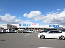 コーナン(電気量販店/ホームセンター)まで564m サンクス第１ハイツ