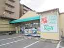 ドラッグひかり(ドラッグストア)まで400m アイビープレイス嵐山