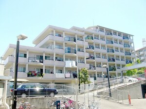 和遊館