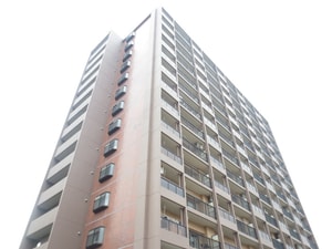 泉北原山台C団地１棟(501)