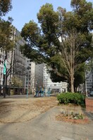 公園(公園)まで257m エスリードレジデンス大阪本町