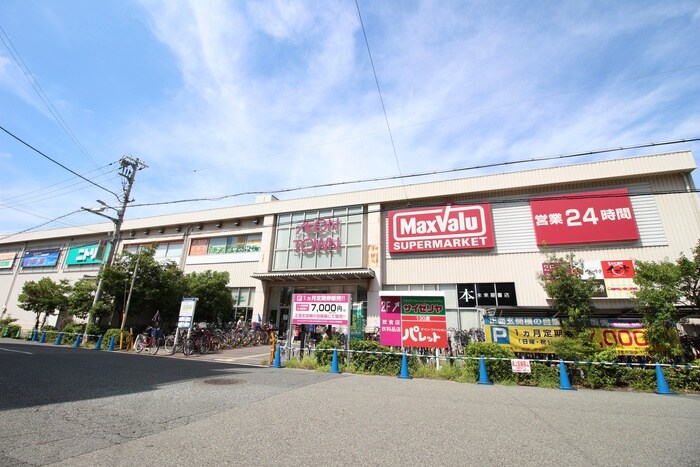 イオンタウン平野(スーパー)まで450m プレミアム正覚寺