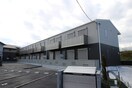 その他 アムール植村