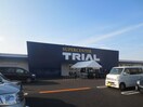 トライアル(スーパー)まで1300m ＧＡＲＤＥＮＩＡ泉佐野大西