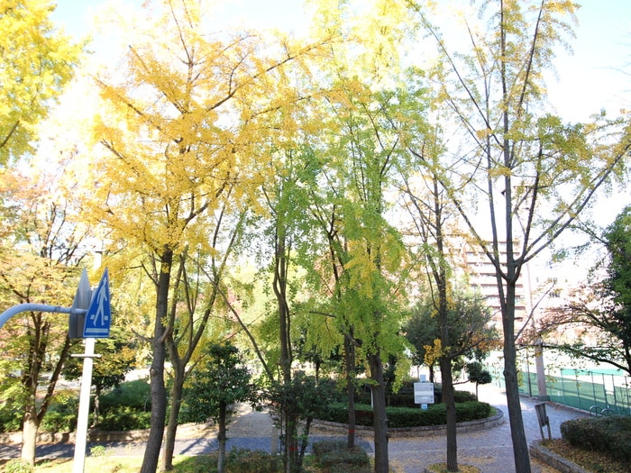 室内からの展望 リノチェロンテ靭公園