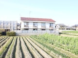 ワイドカレント稲野