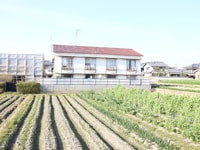 ワイドカレント稲野