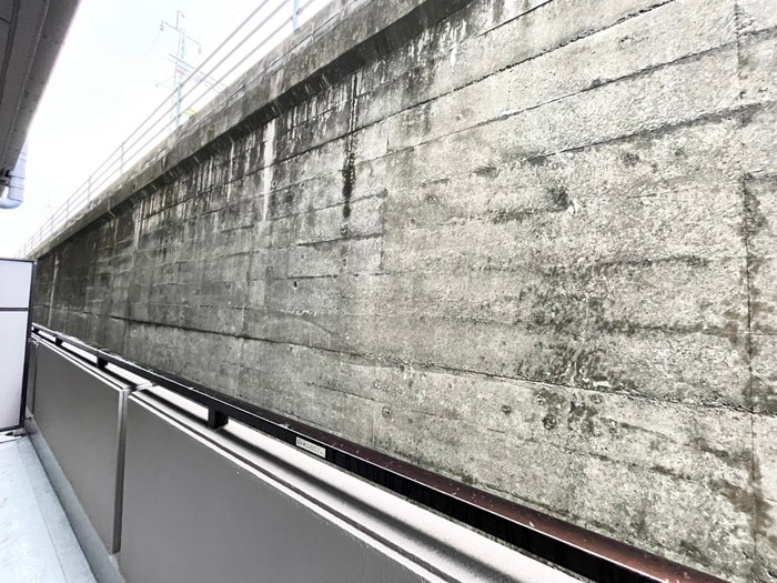 室内からの展望 Sun　Bird　桂