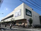阪急オアシス 武庫之荘店(スーパー)まで170m ＡＴＴＥＳＡ１２（４階）