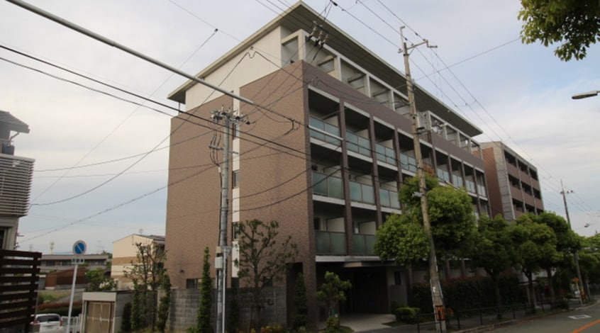 駐車場 シプレス