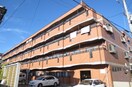 外観写真 フリーダム中村