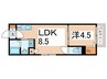 メゾンアイギス 1LDKの間取り