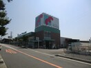万代長尾西店(スーパー)まで1145m コンテネレッツァ枚方Ⅱ