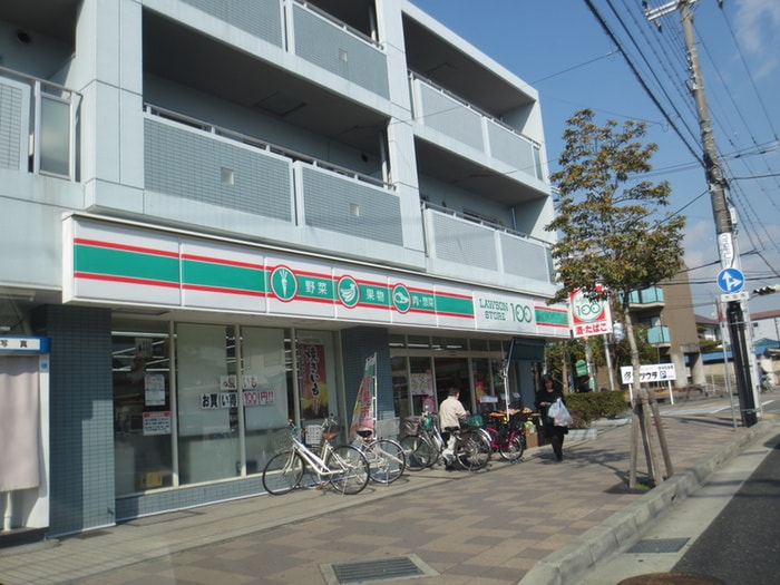 ローソン(コンビニ)まで205m ルミエール