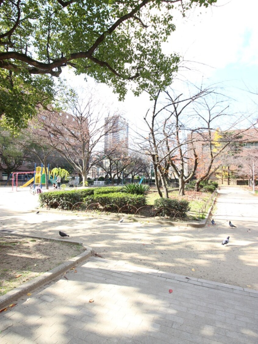 立売堀公園(公園)まで170m ミ－ネ新町弐番館