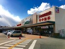 オークワ(スーパー)まで700m タカンド