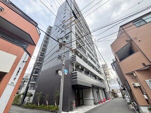 ｻﾞ・ｳｴｽﾄﾏｰｸｼﾃｨﾌﾟﾚﾐｱﾑ(703)