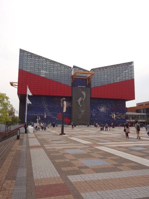 海遊館(美術館/博物館)まで700m ベルシモンズ大阪港