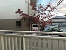 室内からの展望 シュペリールＢ