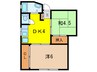 早川ビル 2DKの間取り