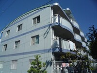 ＬＩＺ　ＣＯＵＲＴ