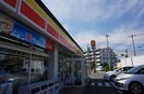 デイリーヤマザキ(コンビニ)まで80m サンクリスタルハウス
