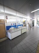 田村書店(本屋)まで245m フォレスト西九条