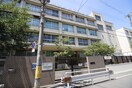 大阪市立南津守小学校(小学校)まで850m グリーンコーポ北加賀屋