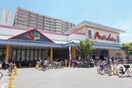 山陽マルナカ住之江店(スーパー)まで600m ブル－メイトハイツＡ棟