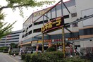 ドンキホーテ(ショッピングセンター/アウトレットモール)まで712m サニ－コ－ト