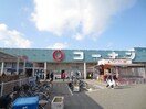 コーナン　羽倉崎店(電気量販店/ホームセンター)まで750m シャルマンフジ羽倉崎