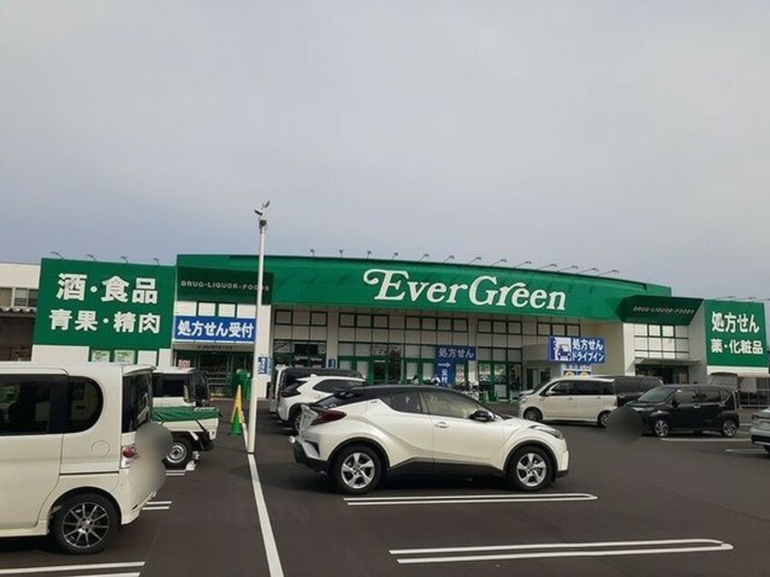 エバーグリーン(ドラッグストア)まで550m ハイツハピネス