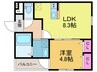 フジパレス高石千代田Ⅱ番館 1LDKの間取り
