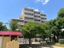 ﾃﾞｲﾓｱ茨木新中条ﾊﾟｰｸﾌﾛﾝﾄ(404)の外観